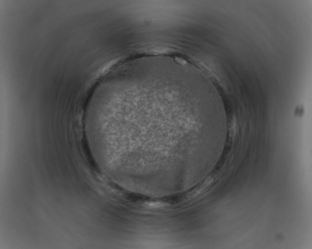 X0000092270360200709281229