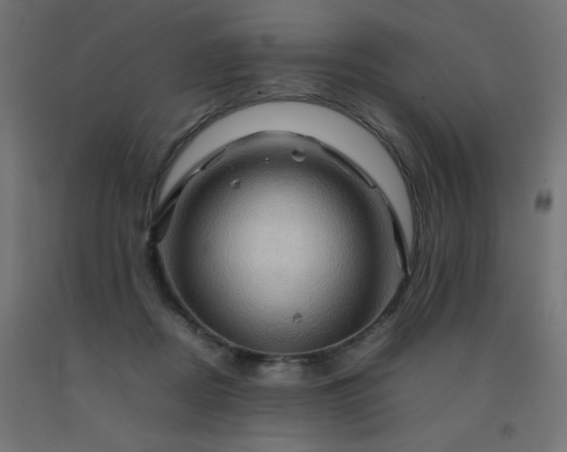 X0000092270362200709281229