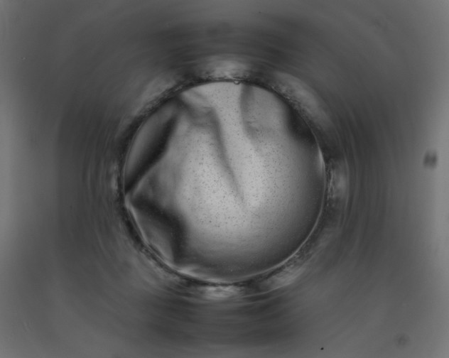 X0000092270363200709281229