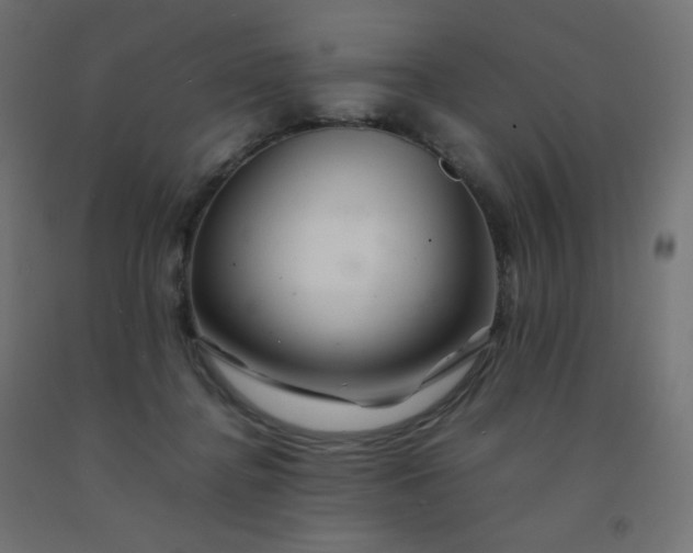 X0000092270364200709281229