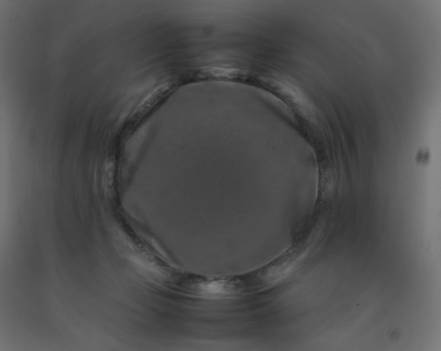X0000092270365200709281229