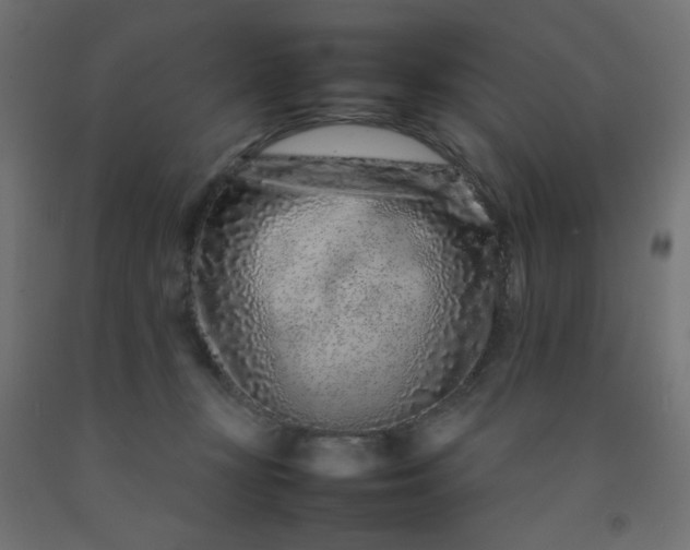 X0000092270367200709281229