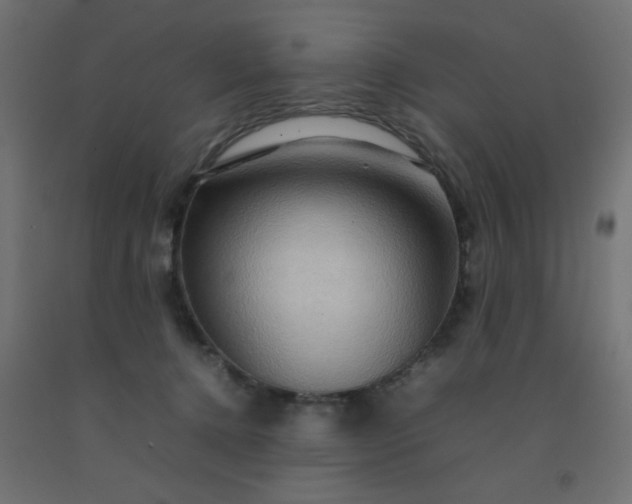X0000092270368200709281229