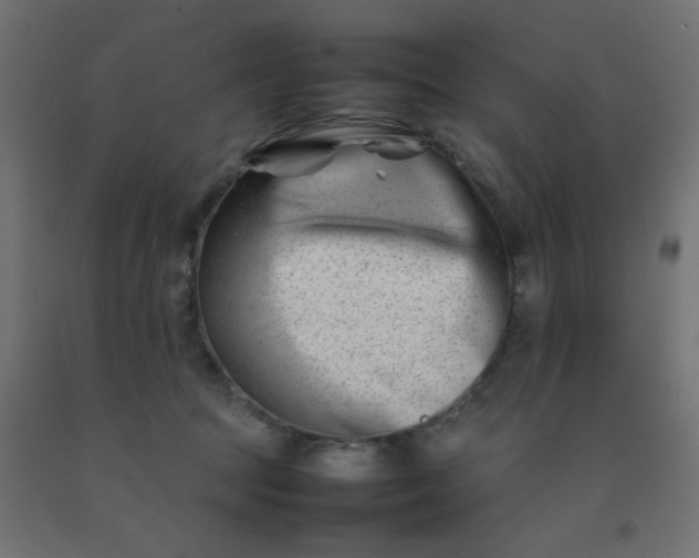 X0000092270369200709281229