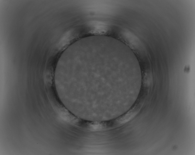 X0000092270370200709281229