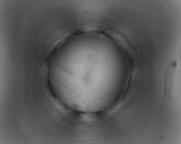 X0000092270372200709281229