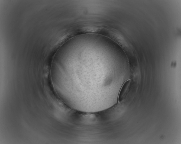 X0000092270374200709281229
