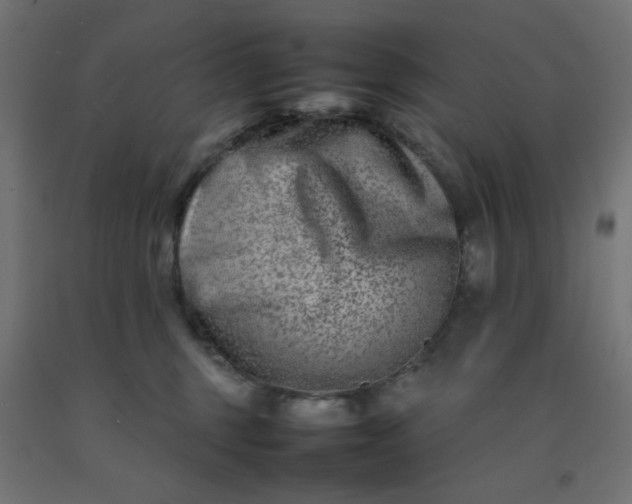 X0000092270375200709281229