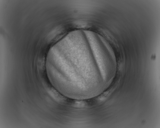 X0000092270376200709281229