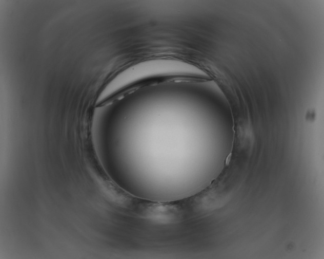 X0000092270379200709281229
