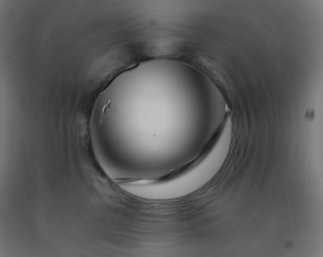 X0000092270380200709281229