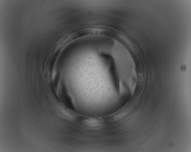X0000092270381200709281229