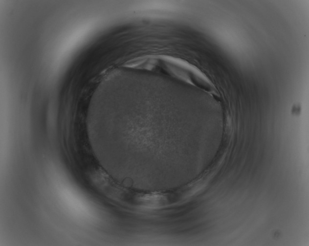 X0000092270383200709281229