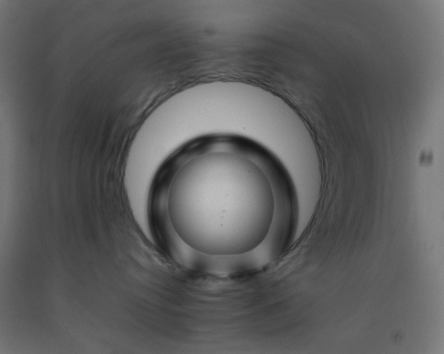 X0000092270384200709281229