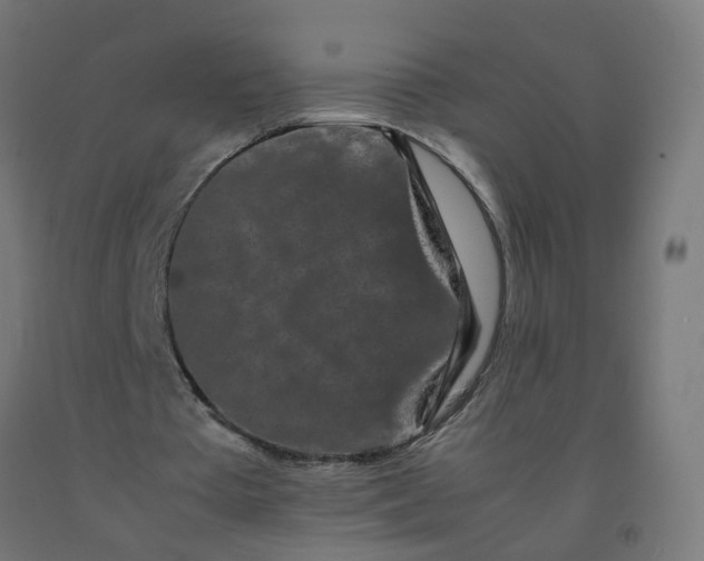 X0000092270385200709281228