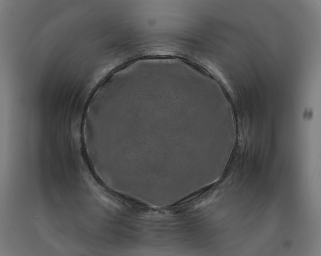 X0000092270386200709281228