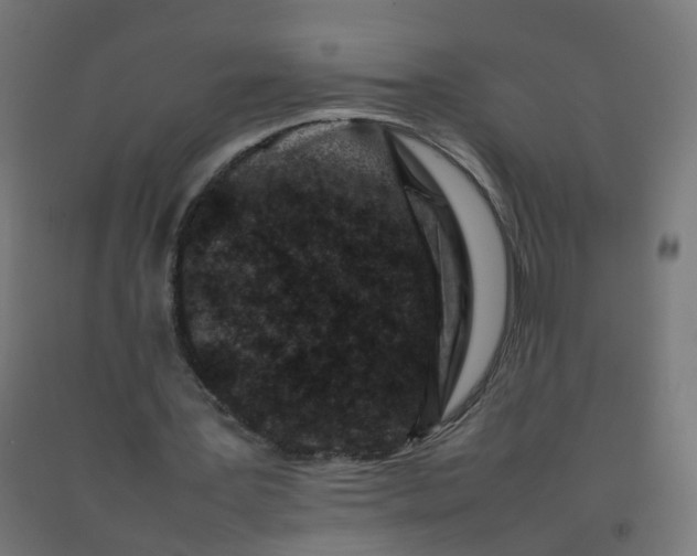 X0000092270387200709281228
