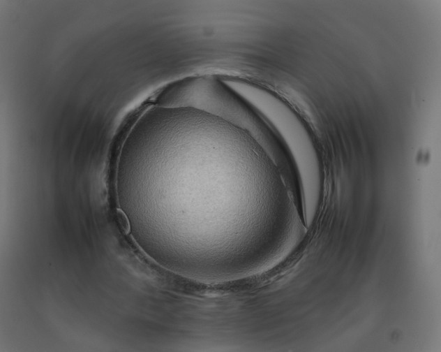 X0000092270388200709281228