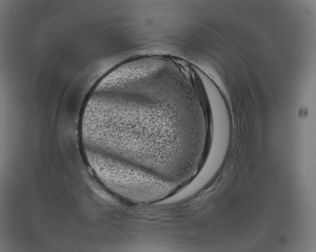 X0000092270389200709281228