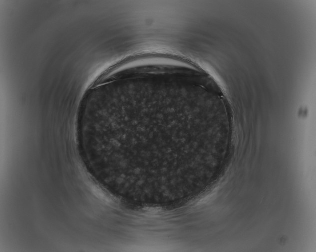 X0000092270391200709281228