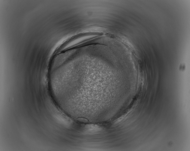 X0000092270392200709281228