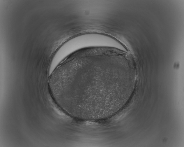 X0000092270393200709281228