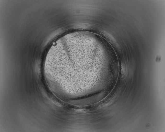 X0000092270396200709281228