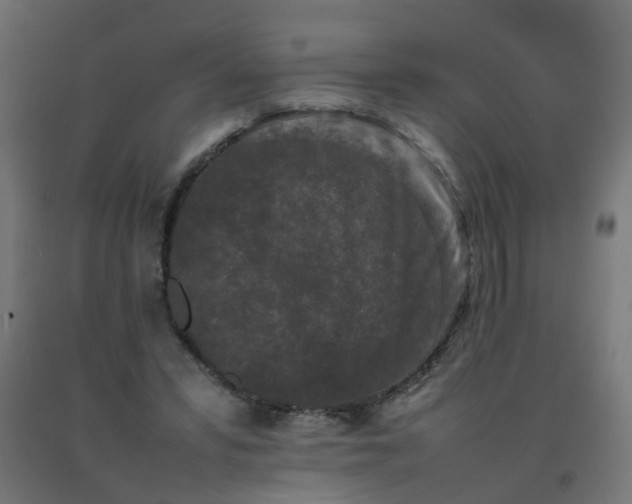 X0000092270399200709281228