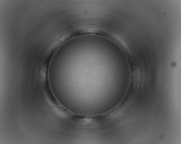 X0000092270406200709281228