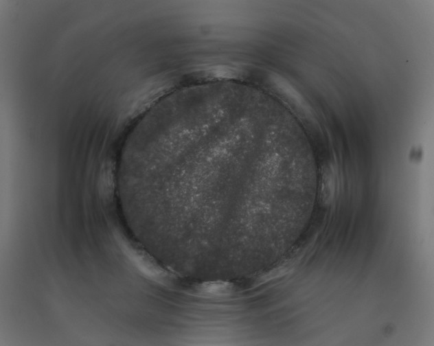 X0000092270410200709281228