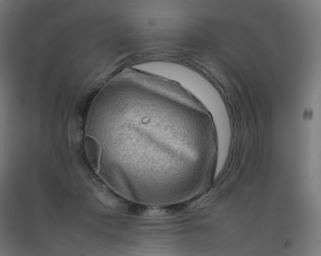 X0000092270413200709281228