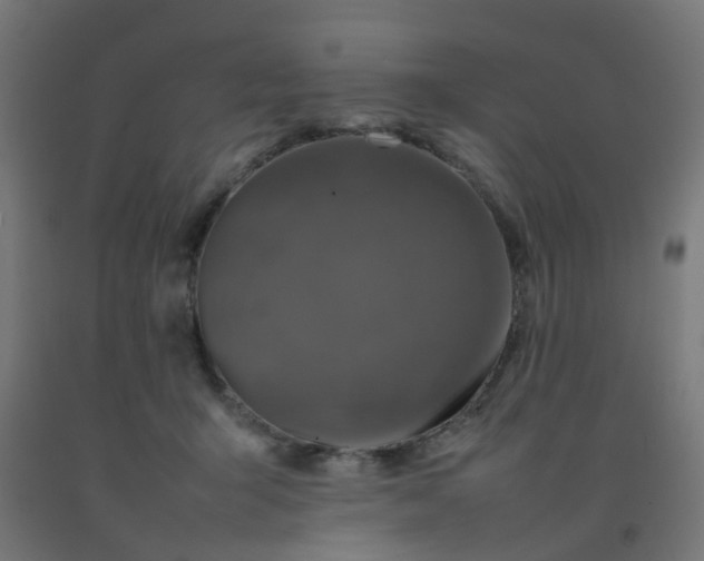 X0000092270415200709281228
