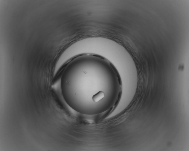X0000092270416200709281228
