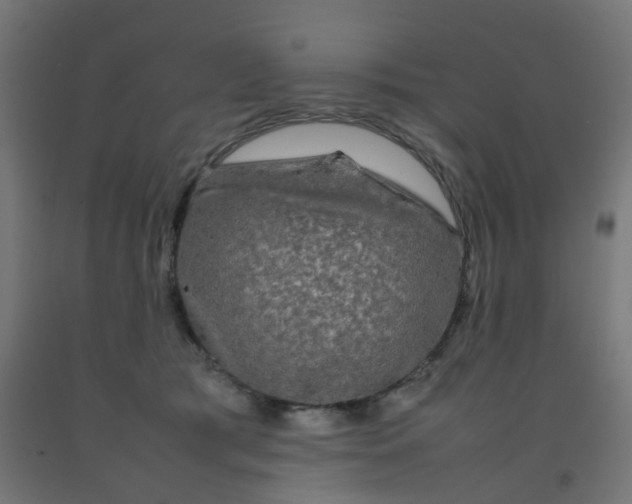 X0000092270417200709281228