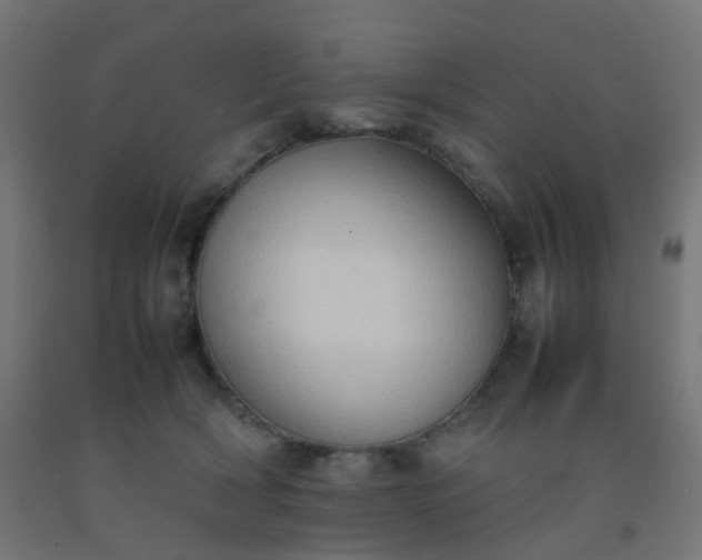 X0000092270418200709281228