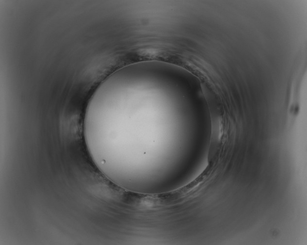 X0000092270420200709281228