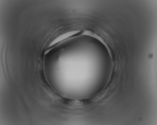 X0000092270421200709281228
