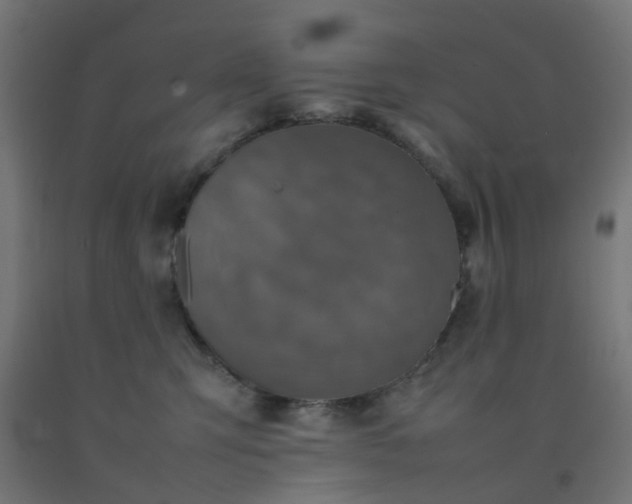 X0000092270423200709281228