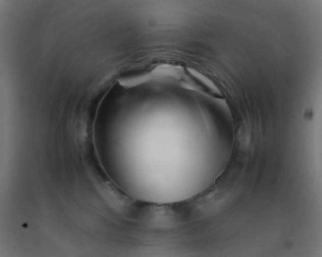 X0000092270424200709281228