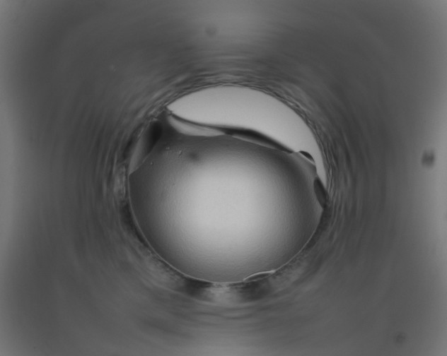 X0000092270425200709281228