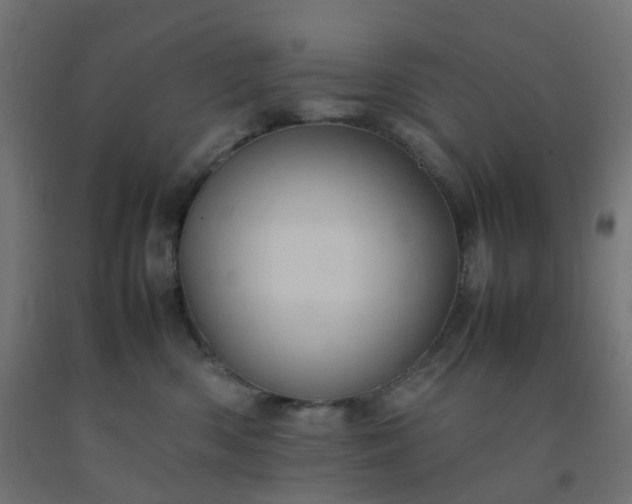 X0000092270426200709281228