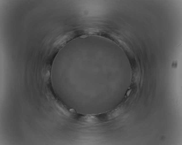 X0000092270427200709281228