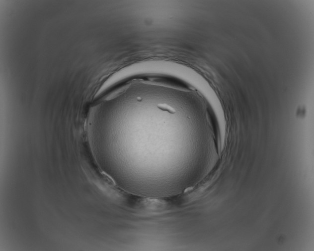X0000092270429200709281228