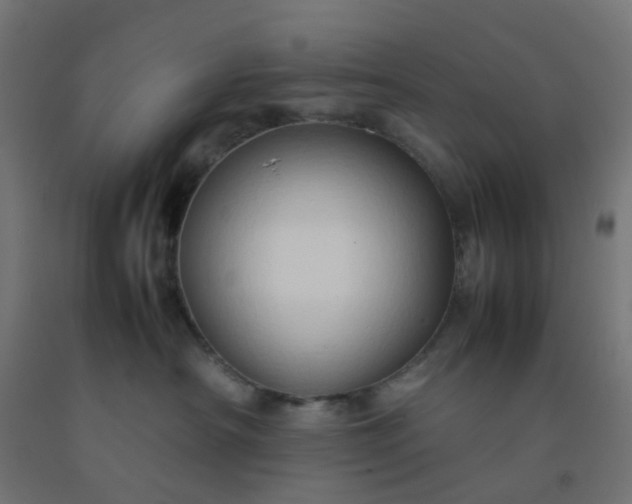 X0000092270430200709281228