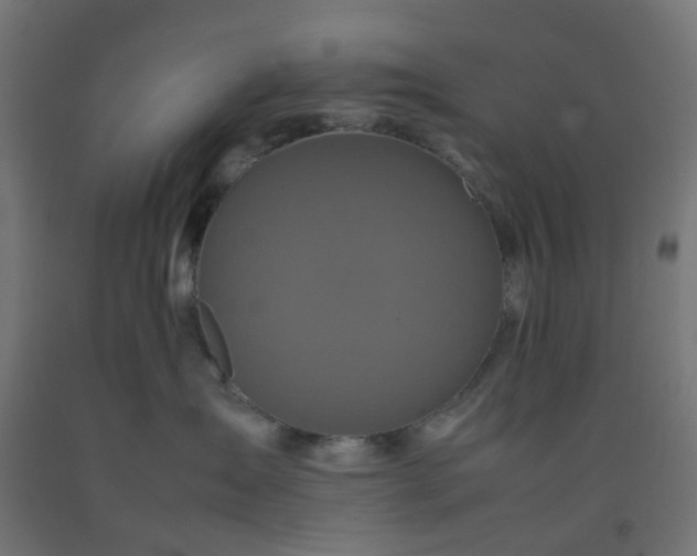 X0000092270431200709281228