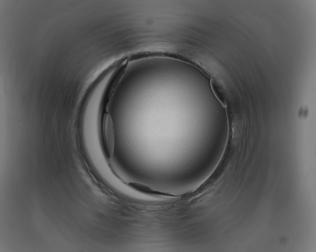 X0000092270436200709281227