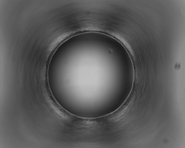 X0000092270437200709281227