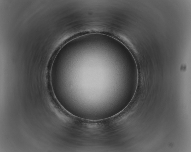 X0000092270439200709281227
