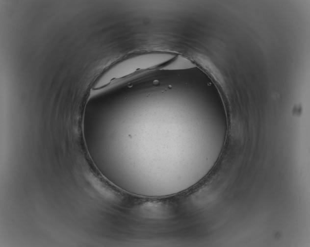 X0000092270441200709281227