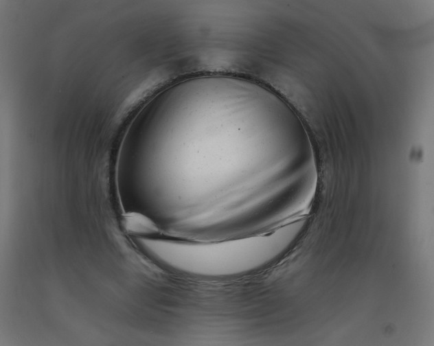 X0000092270442200709281227
